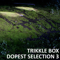 Trikkle Box - Dopest Selection 3 by Trikkle Box (DJ-Sets)