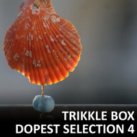 Trikkle Box - Dopest Selection 4 by Trikkle Box (DJ-Sets)