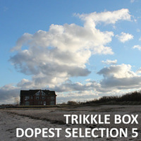 Trikkle Box - Dopest Selection 5 by Trikkle Box (DJ-Sets)
