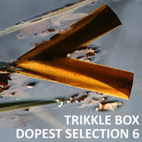 Trikkle Box - Dopest Selection 6 by Trikkle Box (DJ-Sets)