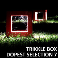 Trikkle Box - Dopest Selection 7 by Trikkle Box (DJ-Sets)