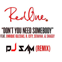 Don't you need Somebody - Dj Sam by DJ Sam