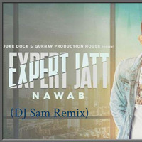 Expert Jatt - DJ Sam Remix by DJ Sam