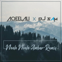 NEELE NEELE AMBER - AQEEL ALI & DJ SAM by DJ Sam