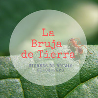 Bruja de tierra, medicina del encierro by Escuela Brujas de Luz