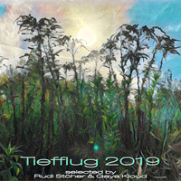 Tiefflug 2019 by Gaya Kloud