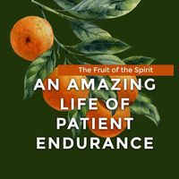 An Amazing Life of Patient Endurance 7-1-18 by E Main St. Christian Church