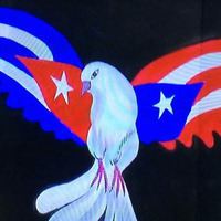 53 - ¿Qué debe Puerto Rico esperar de la apertura de Cuba? - ECONOMIA 101 - 7 DE ENERO DE 2017 by Radiorreal