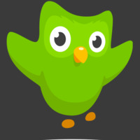 App review 1:  Duolingo vs Rosetta Stone - by  Álvaro Ortiz by Radiorreal