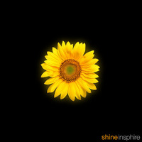 Shine [Single Edit] by Insphire