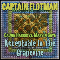 Acceptable In The Grapevine [Calvin Harris vs. Marvin Gaye] by Captain Flotman