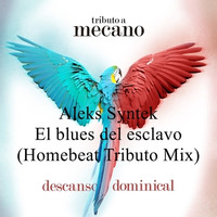 Aleks Syntek - El blues del esclavo (Homebeat Tributo Mix) by Homebeat