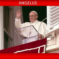 Papa Francesco - Angelus del 24 Marzo 2019 by Cerco il Tuo volto