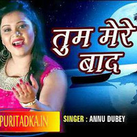 Tum Mere Baad Mohabbat Ko Taras Jaoge(annu Dube)mp3 download by BhojpuriTadka Dot IN