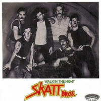 Skatt Brothers - Walk the Night  ( 12''Version ) by DJ Dan Auclair  ( Suite 2 )