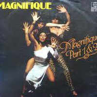   Magnifique -  Magnifique Fantastique  ( 12'''  Extended Version ) by DJ Dan Auclair  ( Suite 2 )