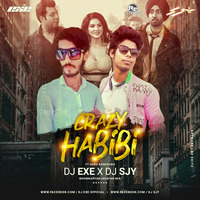 Crazy Habibi (Moombahton Arabian Mix) by Rohit Exe Official