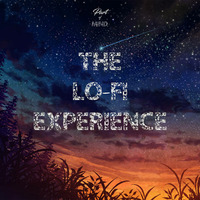 The Lo-Fi Experience by Part Of Mind