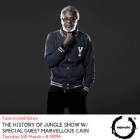 The History of Jungle Show - Episode 88 - 05.03.19 feat Marvellous Cain by The History of Jungle Show