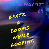 Shadow Warrior 69 - Beatz &amp; Booms While Looping (Y) version by shadowwarrior69