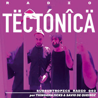 Subsubtropics Radio 002 por Thingamajicks by tectonica mag