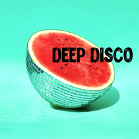  DeepDisco House by ALSTERUFER DJ SOUNDS