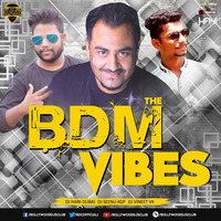 The BDM Vibes - DJ Hani Dubai, DJ Seenu Kgp & DJ Vineet Vk