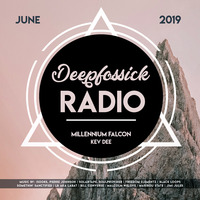 Millennium Falcon - June 2019 (Part. II) by DEEPFOSSICK
