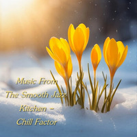 Music From The Smooth Jazz Kitchen - Chill Factor by Chef Bruce's Jazz Kitchen