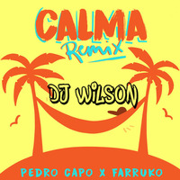 MIX VERANO - CALMA - PEDRO CAPO FT FARRUKO //DJ WILSON//PARTE 1--2019 REMIX by Luis Wilson Condor Poma