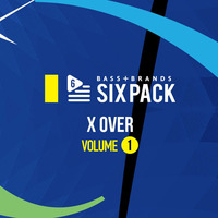 SixPackMix - REGGAE X OVER HITS VOL.1 by BASS and BRANDS
