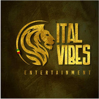 ITAL VIBES - ITAL VOL 2 by DJ TELAVIV