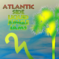 DJ 27_Atlantic Side Liquid Jungle Jam by DJ 27
