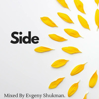 Side. by Evgeny Shukman.