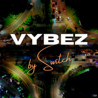 Vybez by Switch 030 | 00s 2000s Hip Hop/RnB | RnB influenced Hip Hop | Outkast | Fat Joe | Jay Z | by DJ Kill Switch