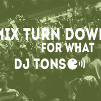 MIX TURN DOWN FOR WHAT - DJ TONS 2017 by LIVE MUSIC 2017