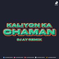 Kaliyon Ka Chaman (Remix) - DJ AY by AIDD