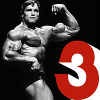 La fin absolue du monde #3 : Arnold Schwarzenegger by Tmdjc