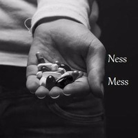 SKR Instrumental - Ness Mess by Ness Mess Prod