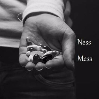 Ness Mess Prod