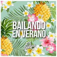 Mix Bailando En Verano - Dj J Vargas 2018 by Dj J Vargas