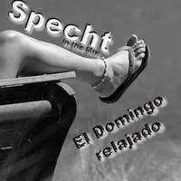 Specht | El Domingo relajado | In the Mix by Specht