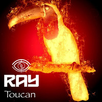 Toucan by Ray