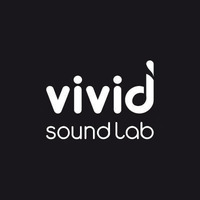 Shallow Waters by Snowflake (Vivid Sound Lab Remix) by Vivid Sound Lab