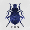 Bug (l3ug)