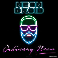 The Neon Droid - Ordinary Neon (LP, 2015)