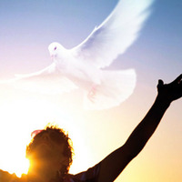 Pst. Markus Spitka 23-09-18, Alleen de Heilige Geest kan u transformeren! by Free Gospel Church
