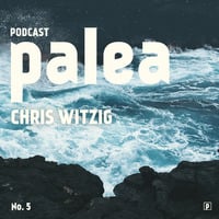 palea podcast No. 5 | Chris Witzig by palea musik