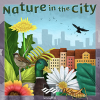 Nature in the City - Audio Demo by Articulated Sounds