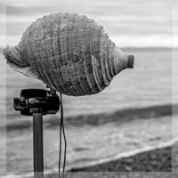 SeaShell Resonance [Demo] by Articulated Sounds